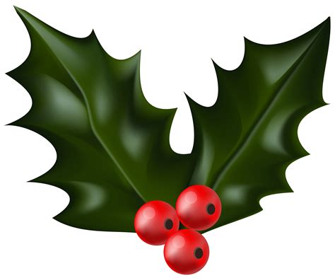File size: 54 KB, 64 KB (outlined version) Dimensions: 1000 by 1000 pixels. Background: Transparent. The holiday season is coming up! Try out this Christmas holly clipart for your next holiday-themed project. Feel free to use this clipart on your website, blog, slideshows, invitations, posters, and more.